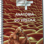 Anatómia do vrecka